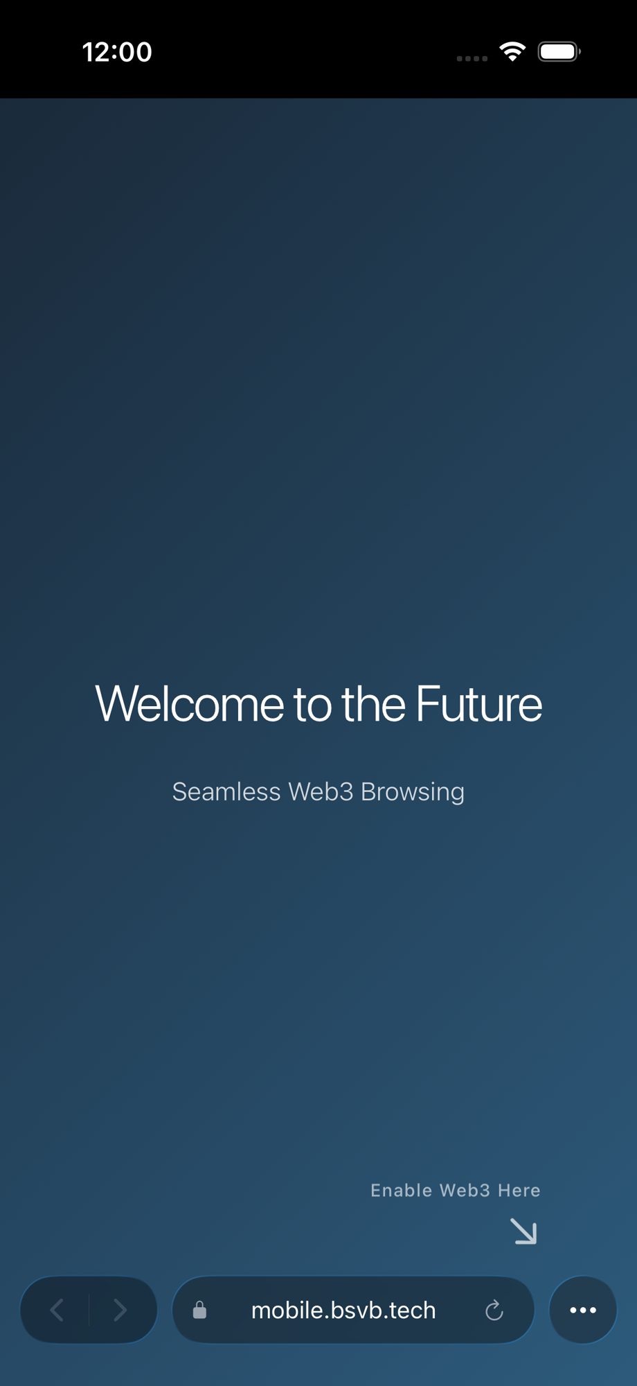BSV Browser home page showing bookmarks, history, and search engine selector