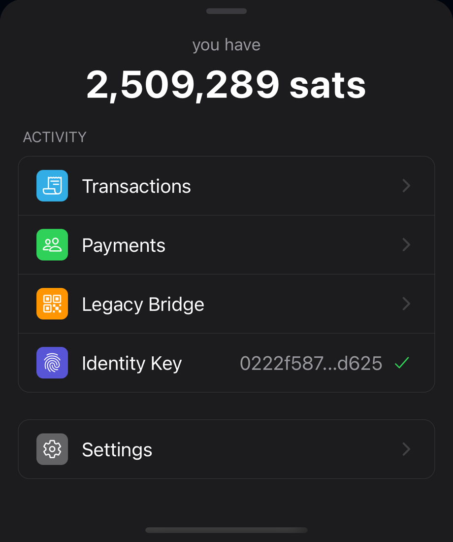 Wallet overview with identity key and copy button