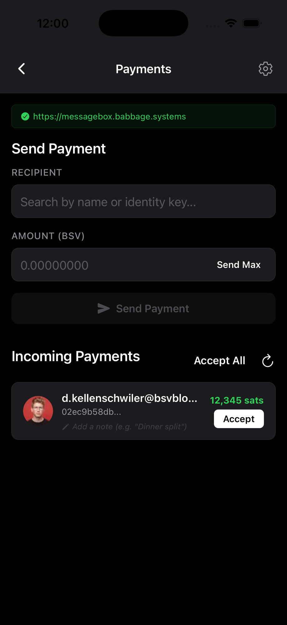 Payments screen showing incoming payments with Accept All button