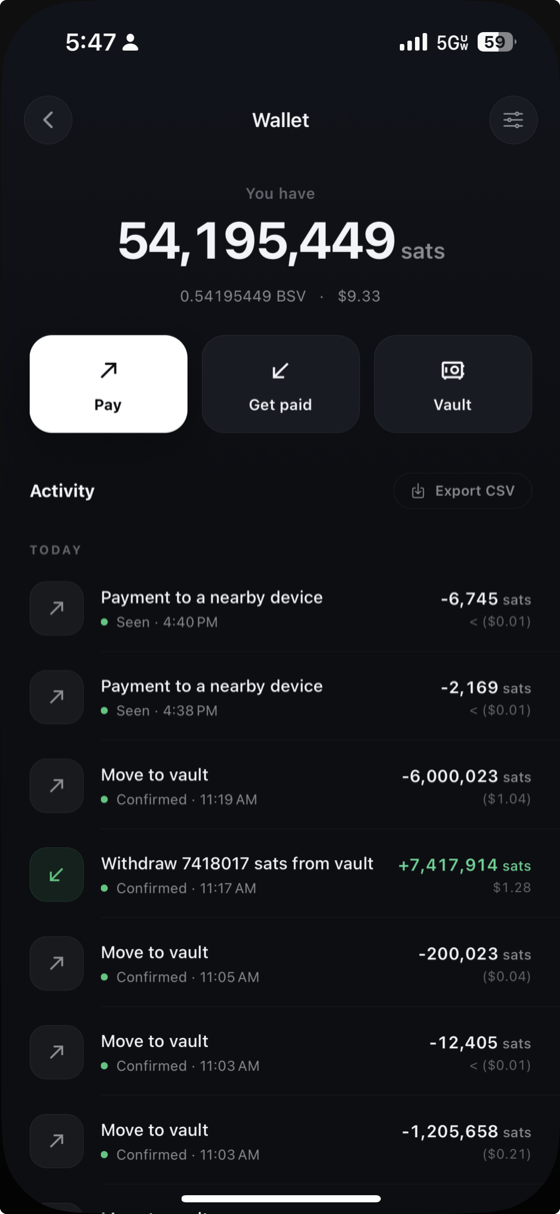 The wallet screen with the Activity list below the balance, showing payments grouped by day