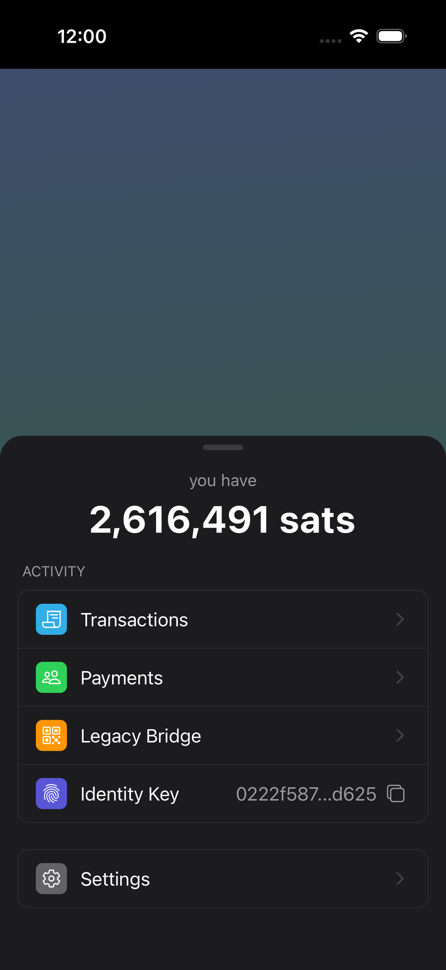 Wallet overview showing balance, activity links, and settings